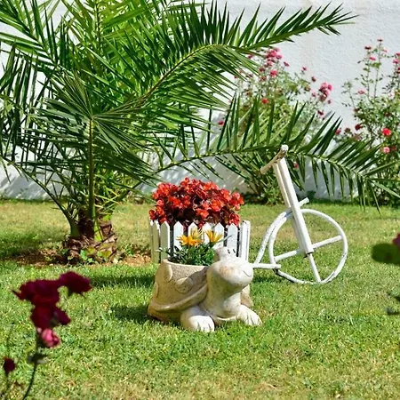 アパート In With Sea Views, Balcony, Air Conditioning, Wifi 566-1